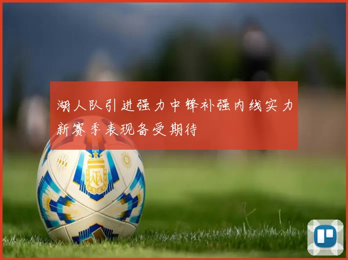 湖人队引进强力中锋补强内线实力新赛季表现备受期待