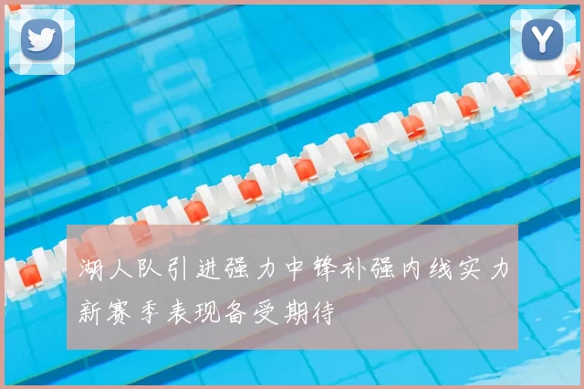 湖人队引进强力中锋补强内线实力新赛季表现备受期待