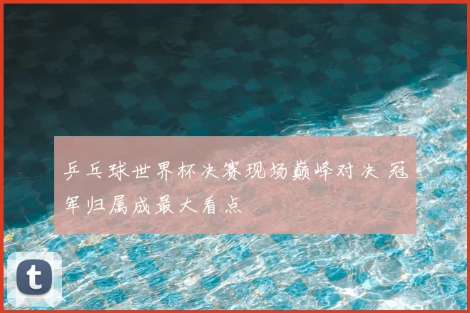 乒乓球世界杯决赛现场巅峰对决 冠军归属成最大看点