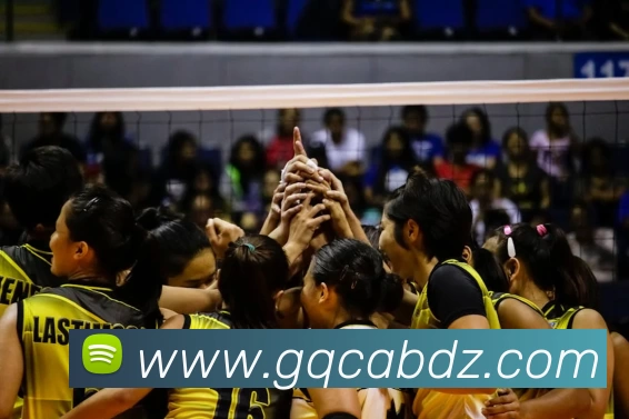 看球网 - 高清免费的NBA、英超、欧冠等热门赛事实时直播平台品牌故事